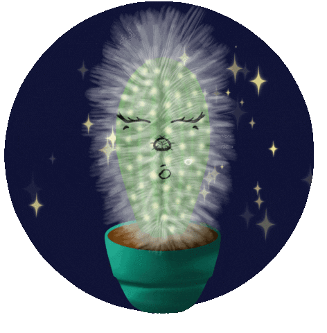 Good Night Sleep Sticker