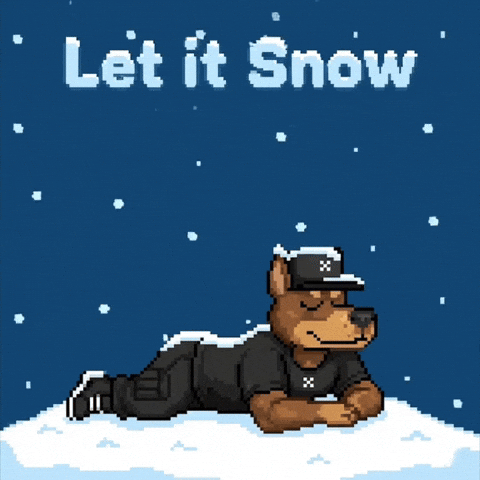 Dog Snow GIF by SkyDog Social