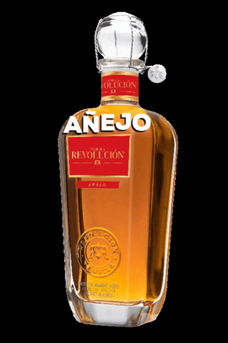 Party Nightlife GIF by Tequila Revolución USA