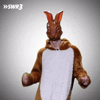 Party Yes GIF by SWR3