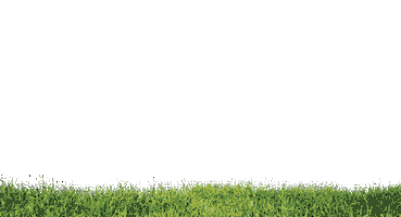 Bloody Mary Mimosa Sticker by Picnic Brunch