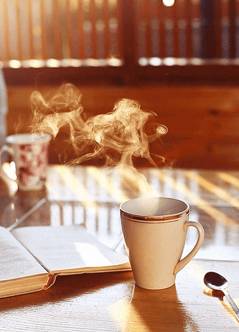 Video gif. Steaming white cup of coffee rests near an open book on a wooden table. Dim morning sunlight shines through a slatted fence in the distance, illuminating the steam from the cup as it rises. 