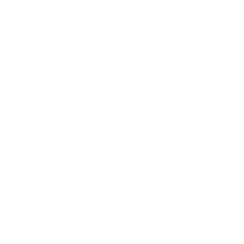RawPwrr Sticker
