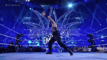 roman reigns sport GIF by WWE
