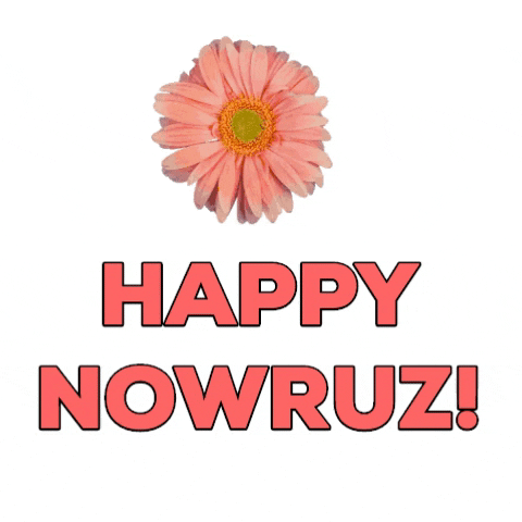 Novruz Happy Nowruz GIF