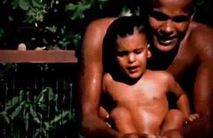 Harry Belafonte GIF