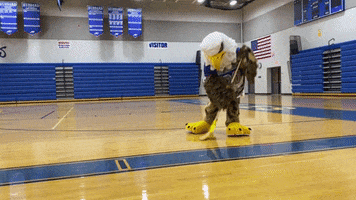 The Eagle Bird GIF by The Hubbard Eagle