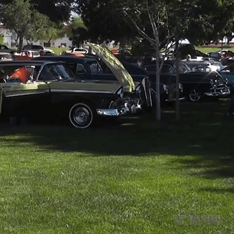bestdamcarshow classiccar GIF by Off The Jacks