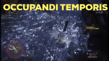 Monster Hunter World Sulu GIF