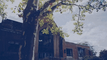 200.gif?cid=fc005b08b10c2b277f8a311a69b265026f35c9a936d5e947&rid=200.gif&ct=g
