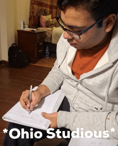 Ohio Studious GIF