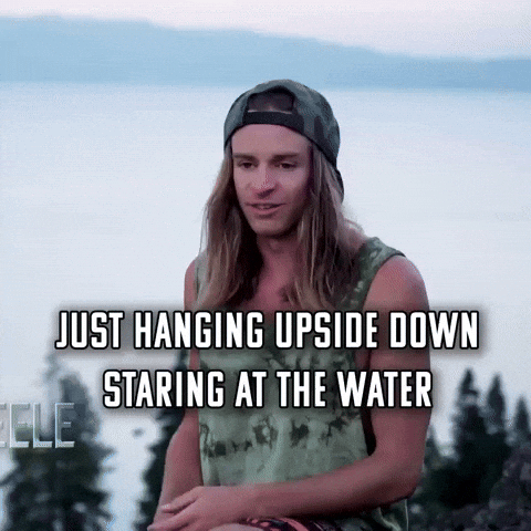 Davidbarnez GIF