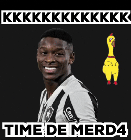 Libertadores Bfr GIF