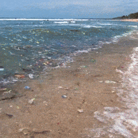 World Ocean Day Gifs Get The Best Gif On Giphy