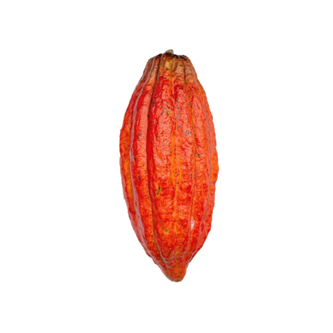 Chocolates Cordillera Sticker