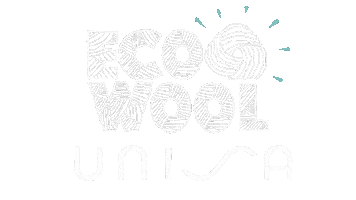 Shoes Wool Sticker by Unisa