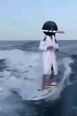 Crow GIF