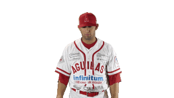 Hunger Games Mexico Sticker by Aguilas de Mexicali Baseball Club