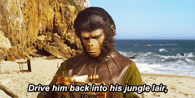 planet of the apes chimpanzees GIF
