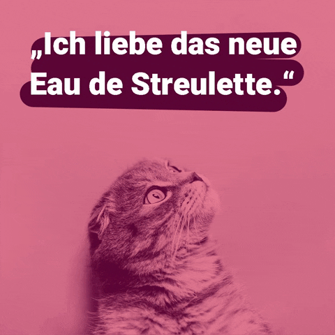 goodcatde GIF