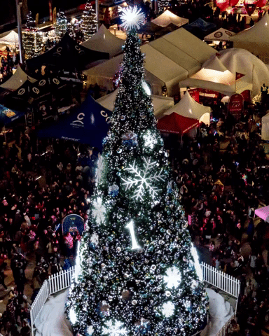 Christmas Surreytree GIF by Surrey Special Events