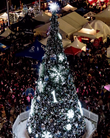 christmas surreytree GIF by Surrey Special Events