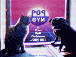 Martial Arts Feminist GIF