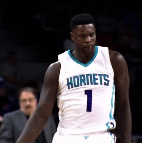 Charlotte Hornets Dance GIF by NBA