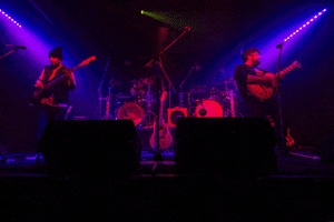 feline deuol mexican band GIF