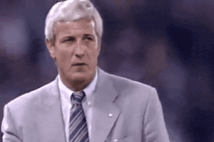 dariovismara  GIF