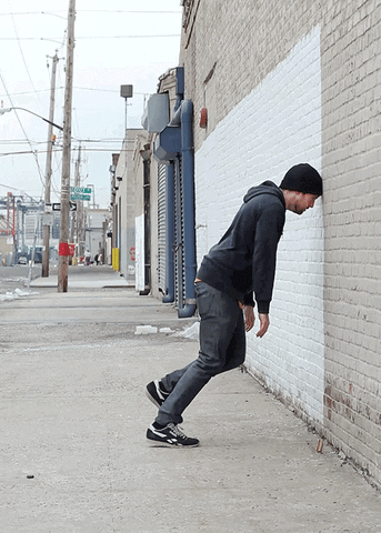 xaviera  GIF