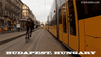 plysaciatvrdaci bike speed hungary GIF