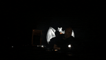 dantemuzquiz format:b GIF