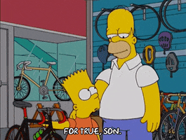 200.gif?cid=fc005b08ccbef404da01a29b2391a93bd2f1a34fec3dd1a8&rid=200.gif&ct=g