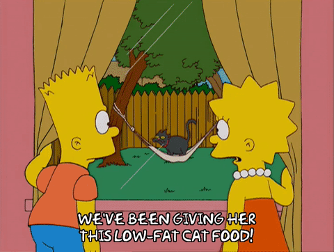 Le sosie de Bart Simpsons Source