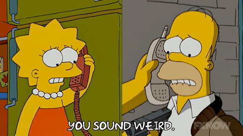 YOUR WEIRD AUDIO visual data 5