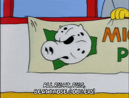 200.gif?cid=fc005b08403f9decabda373c8a2aa09e6b330491e85fd724&rid=200.gif&ct=g