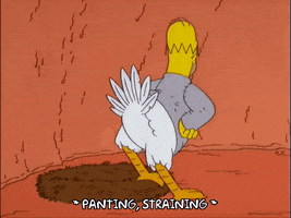 homer simpson feathers GIF