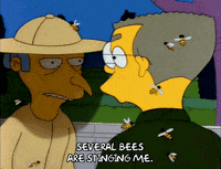 Sting Like A Bee Gifs Get The Best Gif On Giphy Sting Like A Bee Gifs Get The Best Gif On Giphy