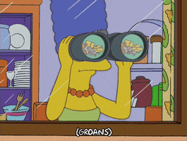 200.gif?cid=fc005b082dc6665bc94f8083d0a108a5751c6ee44eeed396&rid=200.gif&ct=g