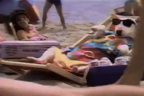 Spuds Mackenzie 80S GIF - Find & Share on GIPHY
