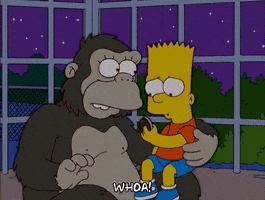 200.gif?cid=fc005b084fb86773febf258c6be3b188fddc34b36004c534&rid=200.gif&ct=g