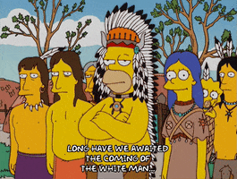 homer simpson indians GIF