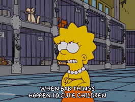 200.gif?cid=fc005b0882b537cf57e707d6575f958ed8870306e97b58e9&rid=200.gif&ct=g