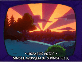 episode 14 sunset GIF