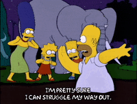Homer Simpson Tar GIF - Find & Share on GIPHY