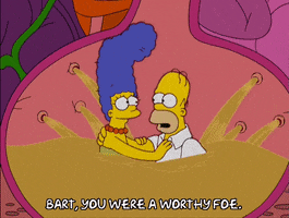 200.gif?cid=fc005b08f95103f4d4650f5320e52fef154d6386dd893075&rid=200.gif&ct=g