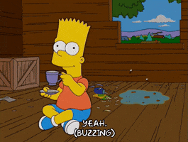 200.gif?cid=fc005b08c6a08c3b8d486b98fa07f190c3fb9c37a701ecee&rid=200.gif&ct=g