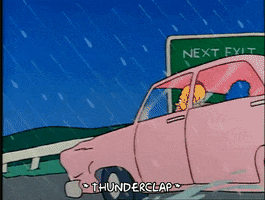 Season 1 Car GIF by The Simpsons