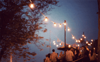 buraequete  GIF